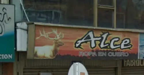 ALCE ROPA EN CUERO ALCE ROPA EN CUERO